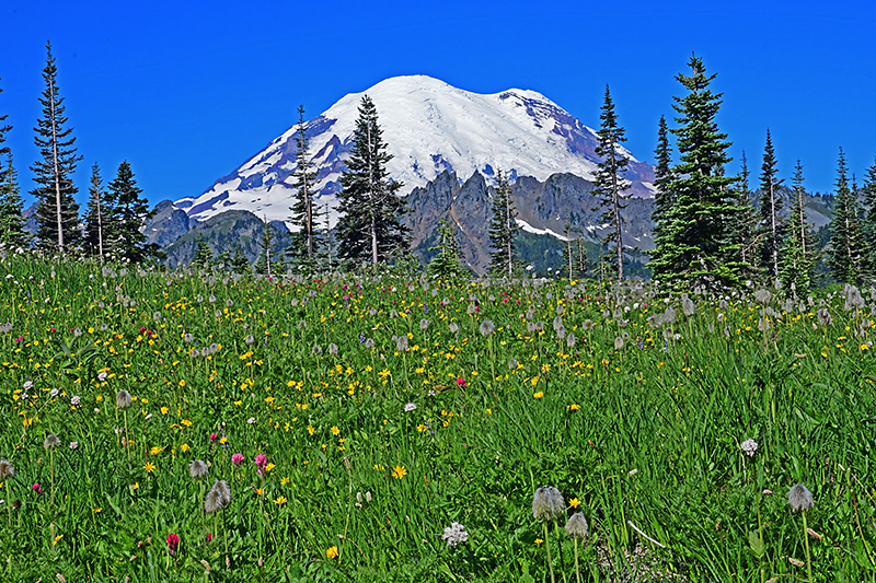 0603-Tipsoo_Lake-web.jpg