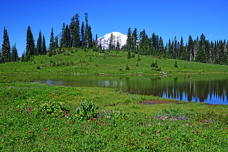 0620-Tipsoo_Lake-web.jpg