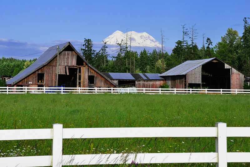 Mt Rainier barn