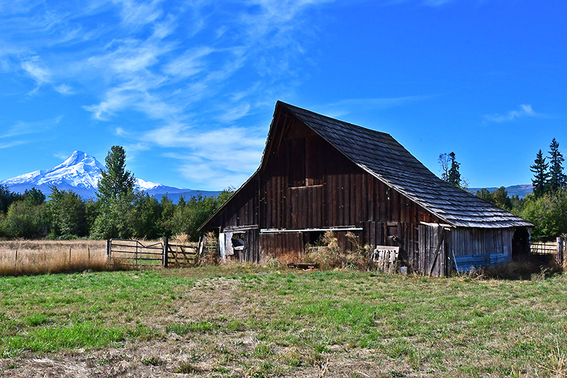 Mt Hood barn