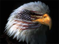 usa eagle