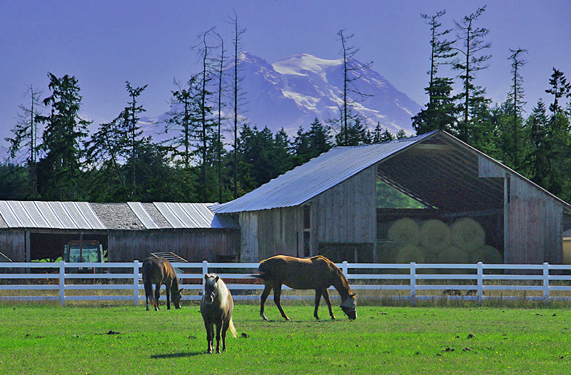 Mt Rainier barn