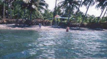 Beach view of Resort