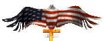 usa eagle
