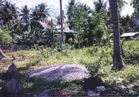side view of resort