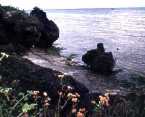 siquijor beach